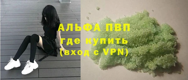 хмурый Няндома