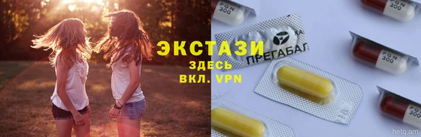 хмурый Няндома