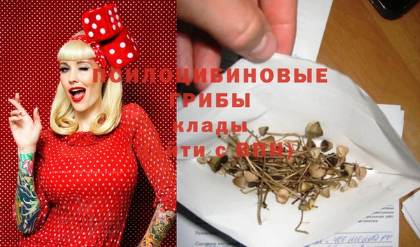 первитин Нягань