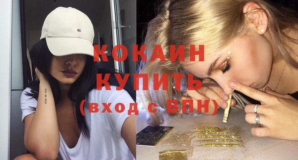 гашик Весьегонск