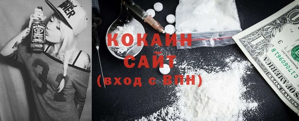 шишки Ессентукская