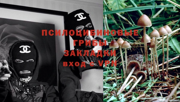 гашик Весьегонск