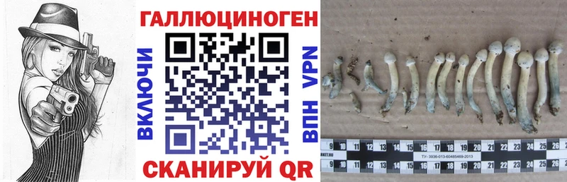 Псилоцибиновые грибы мухоморы  Бабушкин 