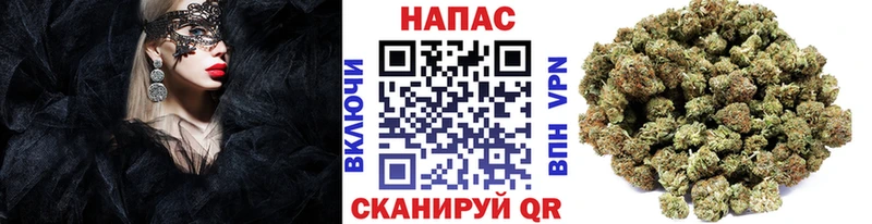 Бошки Шишки VHQ Бабушкин